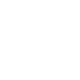 女骚逼网